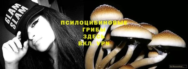 a pvp Белоозёрский