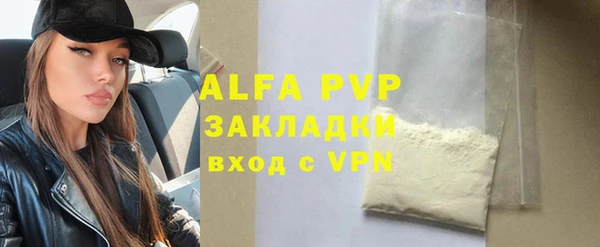эйфоретик Богданович
