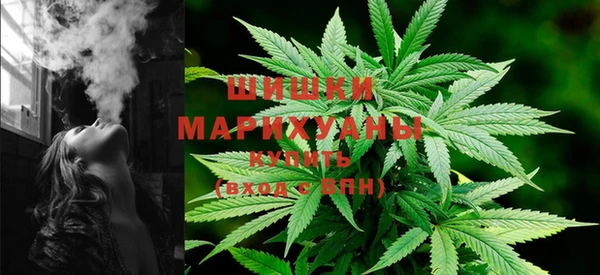 МДПВ Медвежьегорск
