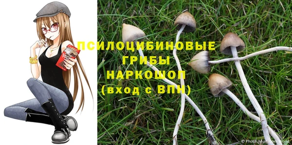 ГАЛЛЮЦИНОГЕННЫЕ ГРИБЫ Богородск