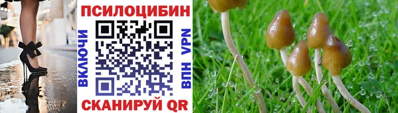 Галлюциногенные грибы Psilocybe  Минеральные Воды 