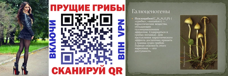 Псилоцибиновые грибы прущие грибы Минеральные Воды