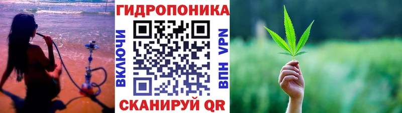 Конопля гибрид Минеральные Воды